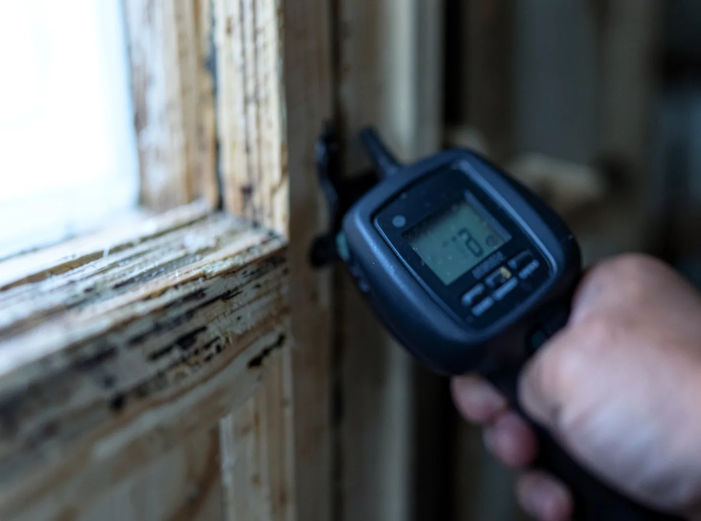 Moisture Inspection And Documentation in Gloucester, VA
